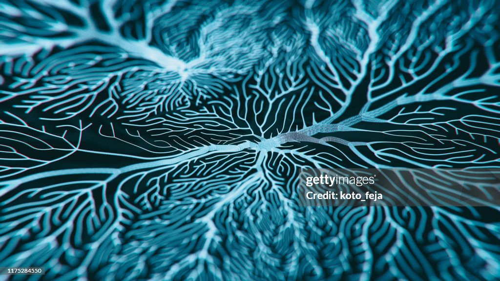 Neuron system