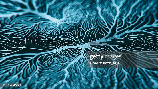Neuron system Neuron system