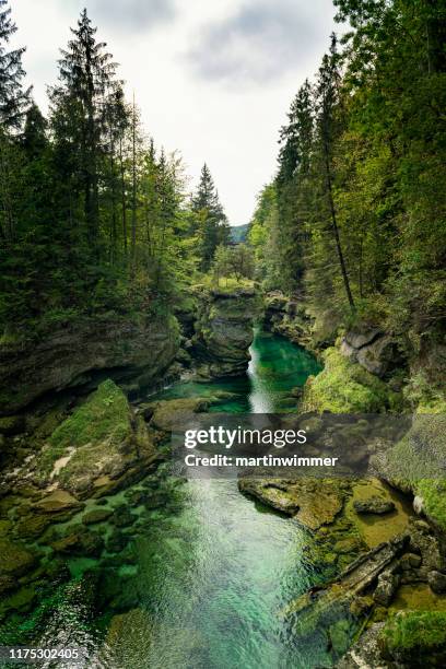 traunfall opper-oostenrijk - mountain lake stockfoto's en -beelden