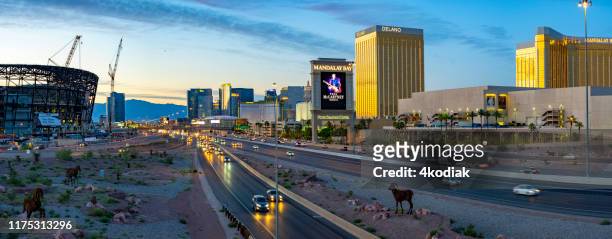 las vegas skyline in the evening hour panorama - mandalay bay resort & casino stock pictures, royalty-free photos & images