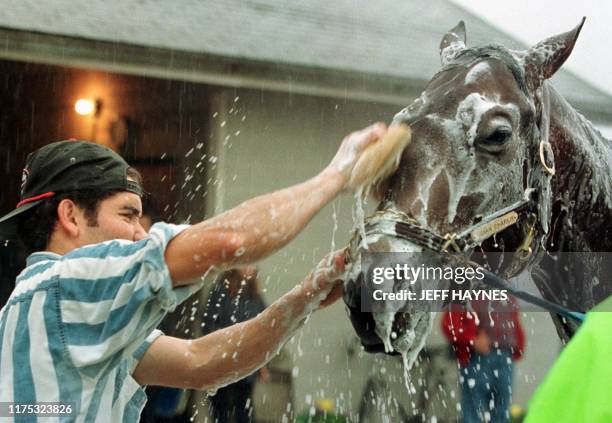Kentucky Derby favorite Indian Charlie is given a bath by groom Jesus Cruz 30 April after his morning workout at Churchill Down in Louisville, KY....