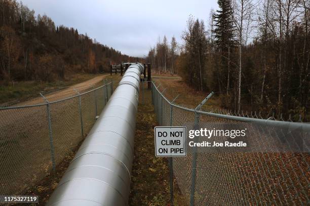 Part of the Trans Alaska Pipeline System is seen on September 17, 2019 in Fairbanks, Alaska. The 800-mile-long pipeline carries oil from Prudhoe Bay...