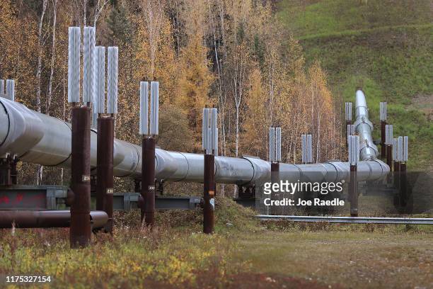 Part of the Trans Alaska Pipeline System is seen on September 17, 2019 in Fairbanks, Alaska. The 800-mile-long pipeline carries oil from Prudhoe Bay...
