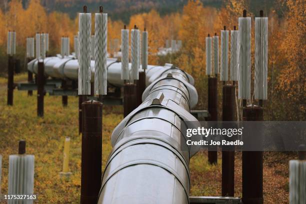 Part of the Trans Alaska Pipeline System is seen on September 17, 2019 in Fairbanks, Alaska. The 800-mile-long pipeline carries oil from Prudhoe Bay...