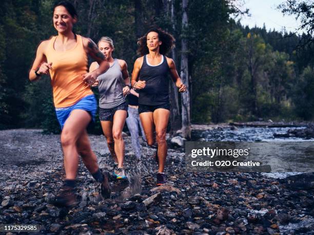 462 Rich Mountain Wilderness Stock Photos, HighRes Pictures, and