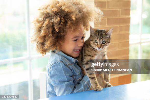 ethnic kid girl playing with cat - american curl kitten stock pictures, royalty-free photos & images