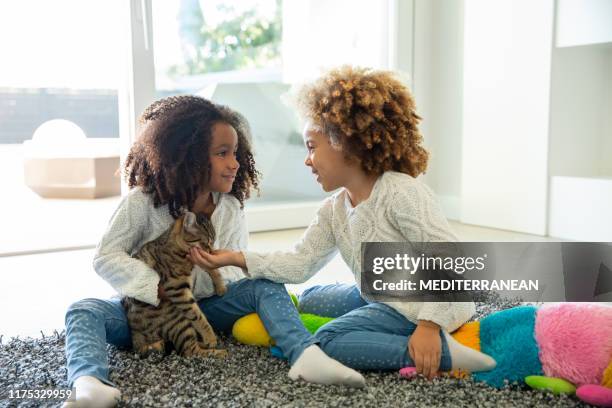 ethnic kid girl playing with cat - american curl kitten stock pictures, royalty-free photos & images
