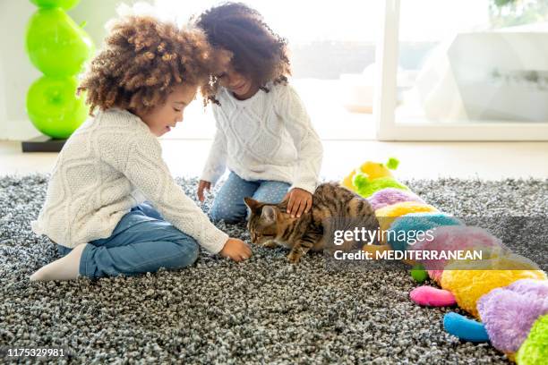 ethnic kid girl playing with cat - american curl kitten stock pictures, royalty-free photos & images
