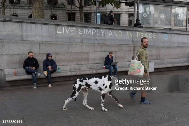 An environmental activist leads his pet Great Dane dog after drinking from a public fountain, while protesting about Climate Change during an...