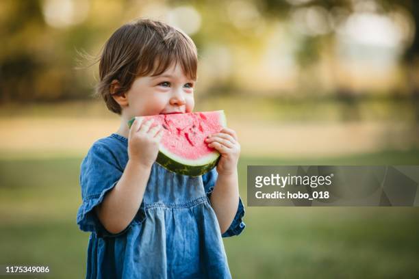 cute girl eating watermelon - kids eating imagens e fotografias de stock