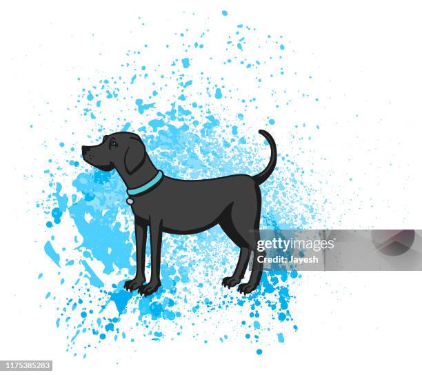 ilustrações de stock, clip art, desenhos animados e ícones de standing black dog cartoon - mixed breed dog