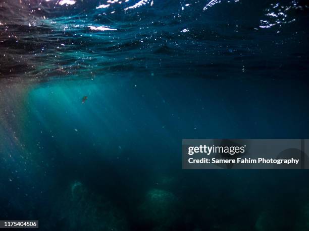 deep blue sea - diep stockfoto's en -beelden