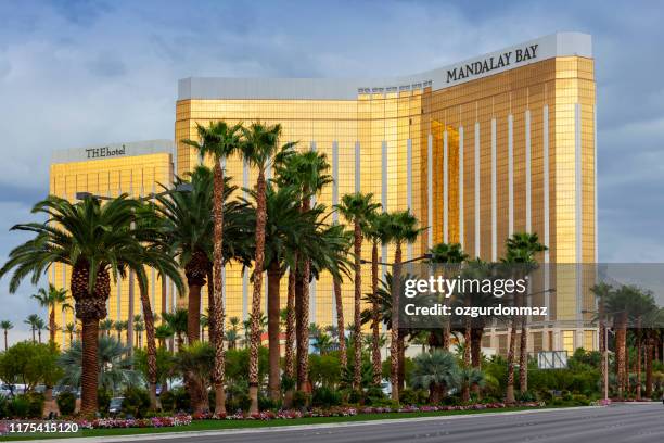 mandalay bay hotel en casino op de strip in las vegas - mandalay bay resort casino stockfoto's en -beelden