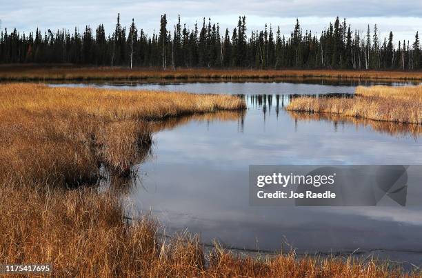 Landscape is seen on September 17, 2019 near Fairbanks, Alaska. Permafrost which is found to some extent beneath nearly 85 percent of Alaska has been...