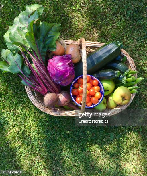 freshly picked organic fruit and vegetables in wicker basket - panier legumes photos et images de collection