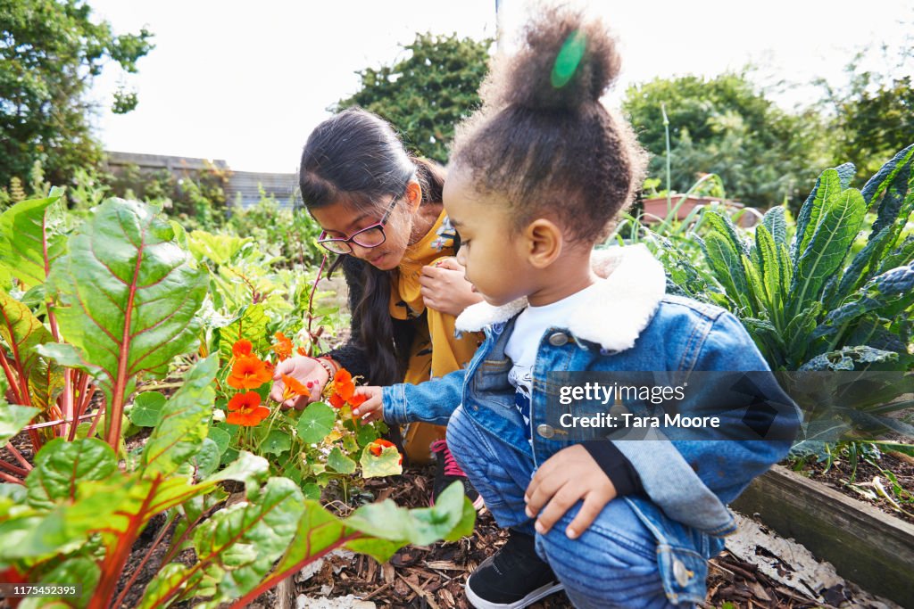 Girl and boy looking at flower in community garden