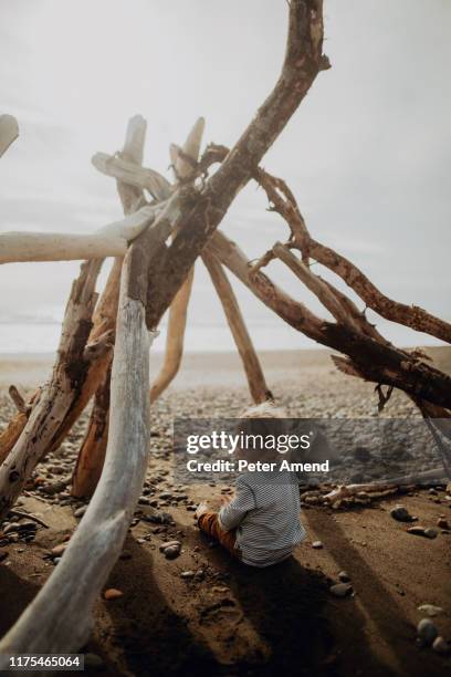 Wikiup Def 32 Wickiup Stock Photos, High-Res Pictures, and Images - Getty Images
