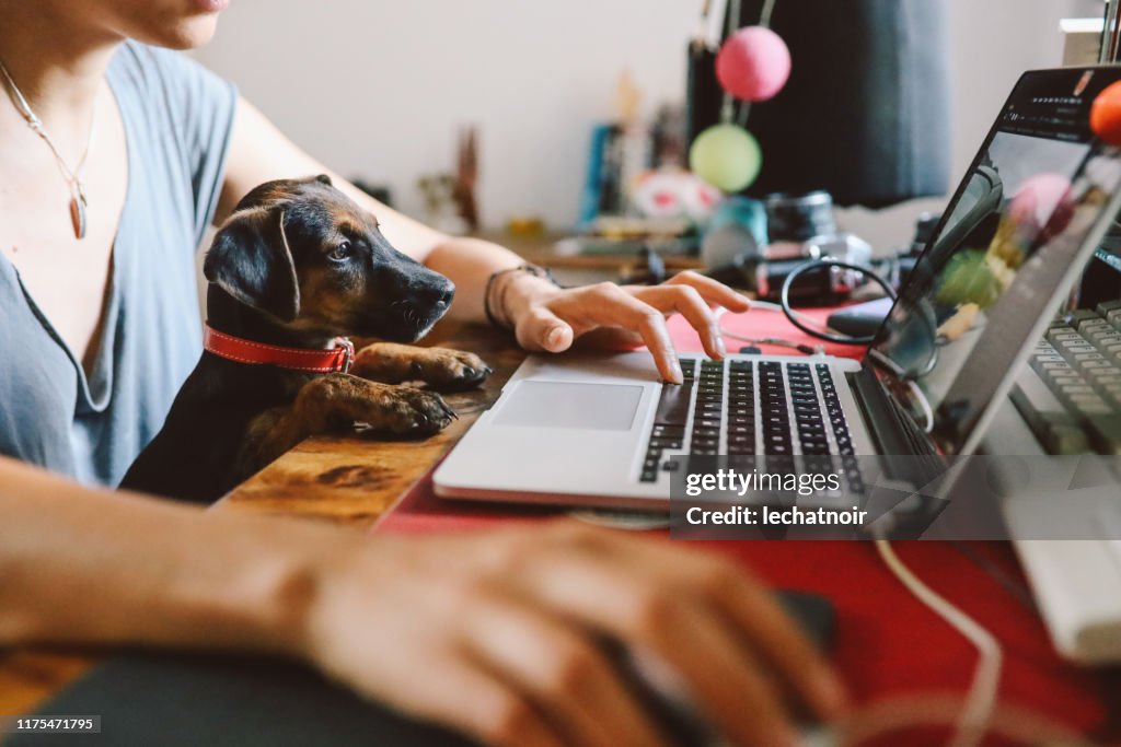 Young woman working at home with her pet puppy