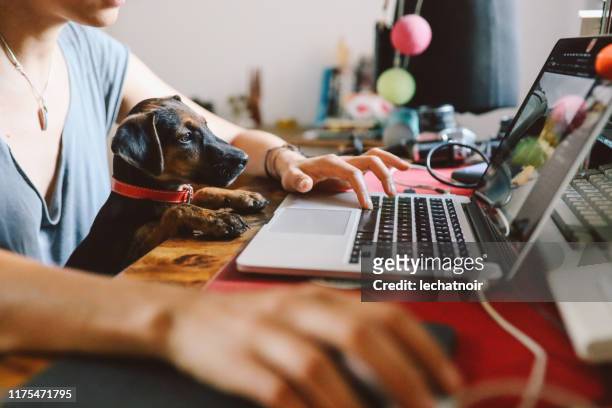 Young woman working at home with her pet puppy