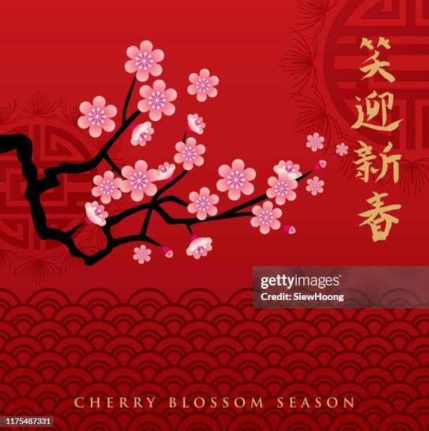 illustrations, cliparts, dessins animés et icônes de saison cherry blossom - arbre cerisier japonais vectoriel