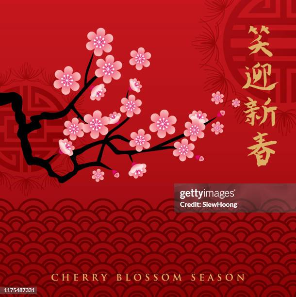 cherry blossom season - oriental cherry tree stock illustrations