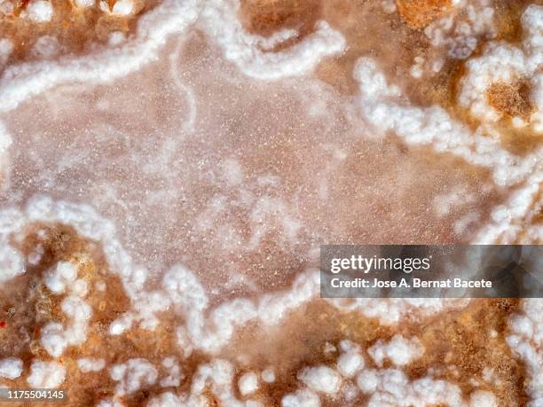 529 Salt Rock Texture Stock Photos, High-Res Pictures, and Images ...