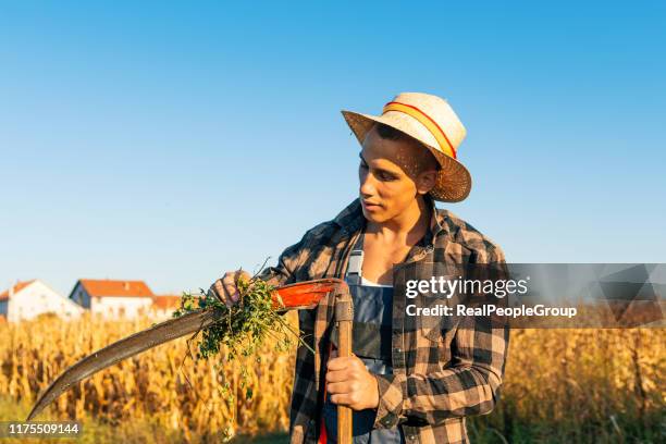 farmer sharpening his scythe - scythe stock pictures, royalty-free photos & images