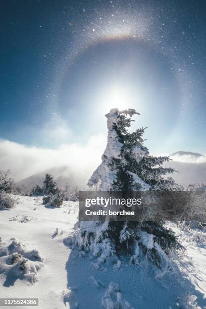 winter ring - halo stock pictures, royalty-free photos & images