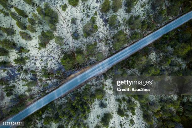 norwegian country road seen from above  - autumn image - norway spruce stock pictures, royalty-free photos & images