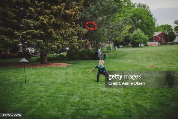 boy catching a frisbee - flying disc stock pictures, royalty-free photos & images