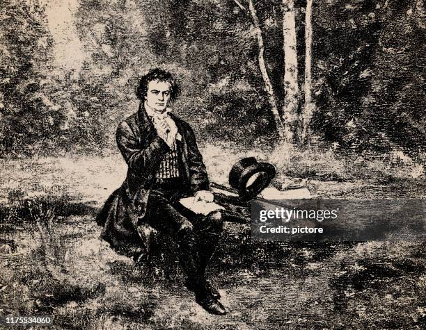 illustrations, cliparts, dessins animés et icônes de ludwig van beethoven - beethoven