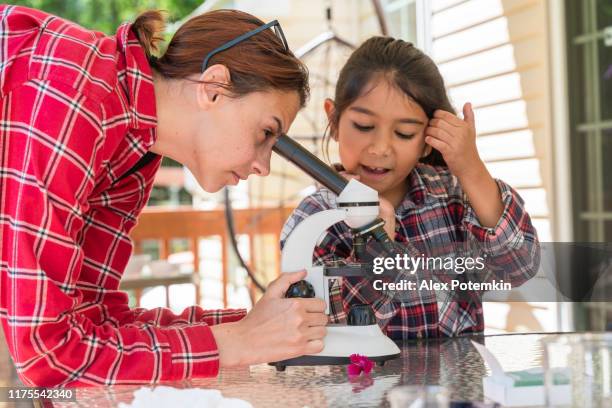 little girl waiting when her older sister, 17-years-old teenager girl, fine-tuning a microscope for her. - 8 9 years imagens e fotografias de stock