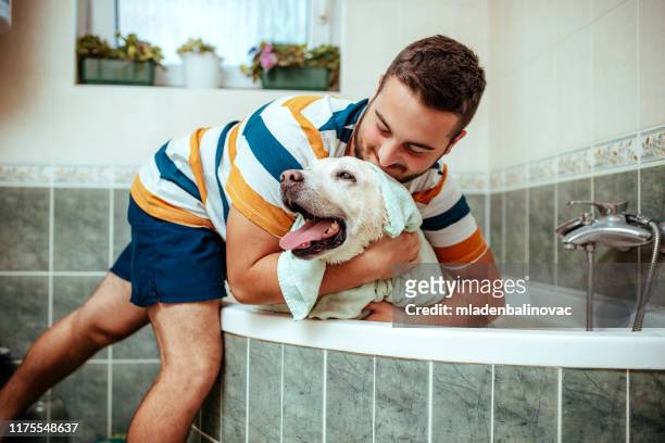 grooming - taking a bath stock pictures, royalty-free photos & images