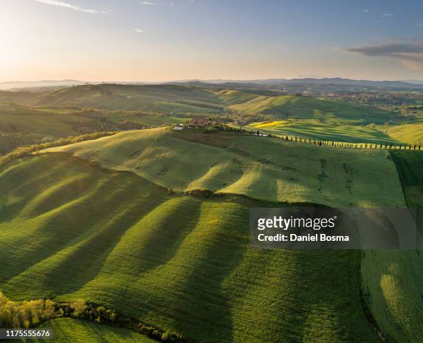 sunlit rolling landscape in tuscany bathing in late afternoon sunlight and seen from the air - asciano stock-fotos und bilder