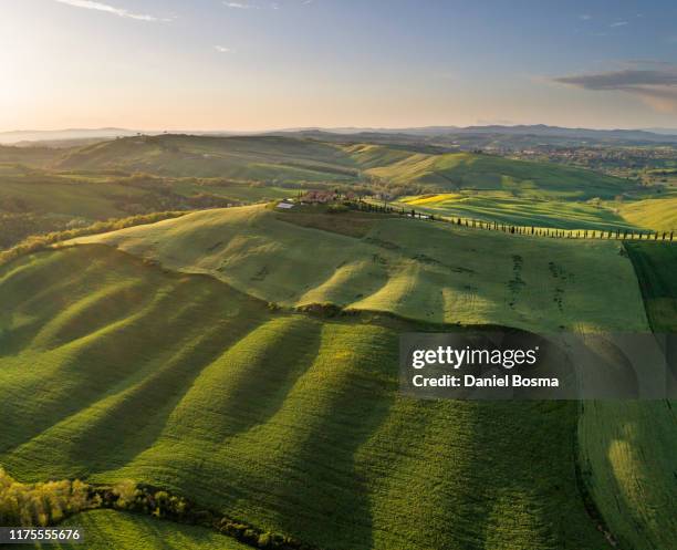 sunlit rolling landscape in tuscany bathing in late afternoon sunlight and seen from the air - italy landscape stock pictures, royalty-free photos & images