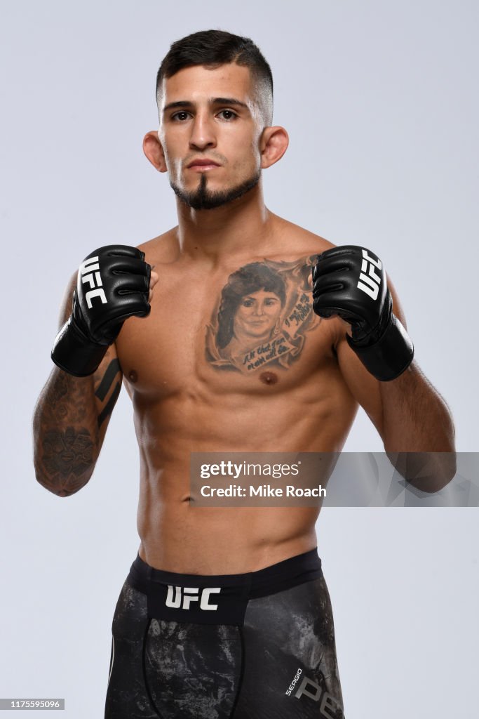 UFC Fighter Portraits - 2019