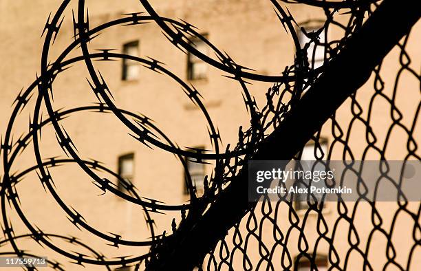 prison - sa nazi photos et images de collection