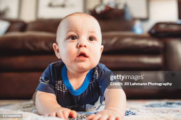 adorable and cute 6 month old baby boy does tummy time in living room on a blanket - lying on front stock pictures, royalty-free photos & images
