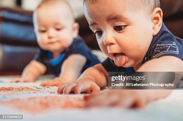 Twins Doing Math 47 Chubby Baby Twins Stock Photos, High-Res Pictures, and Images ...