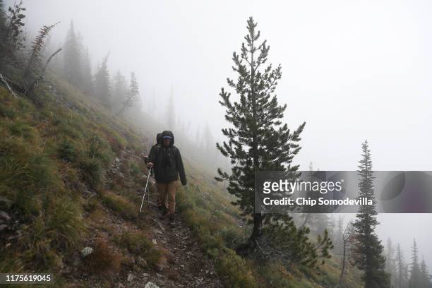 Hikers walk through fog past a whitebark pine tree along the Mount Brown Lookout Trail September 17, 2019 in Glacier National Park, Montana. A U.S....