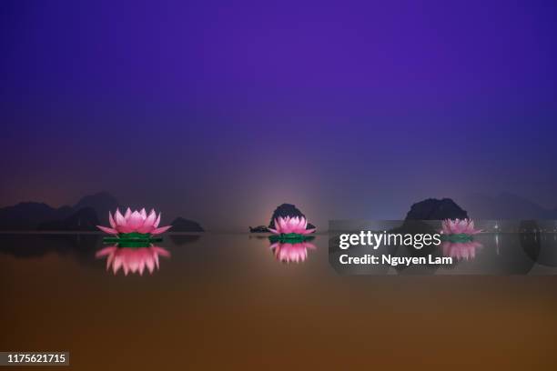 lotus lanterns - buddha's birthday stock-fotos und bilder