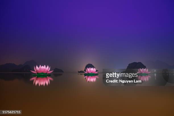 lotus lanterns - buddha purnima stock pictures, royalty-free photos & images