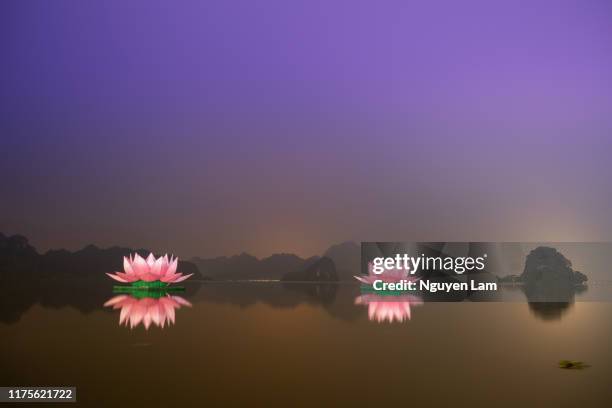 lotus lanterns - lantern water stock-fotos und bilder