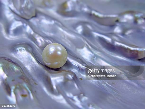 pearl - mother of pearl stock pictures, royalty-free photos & images