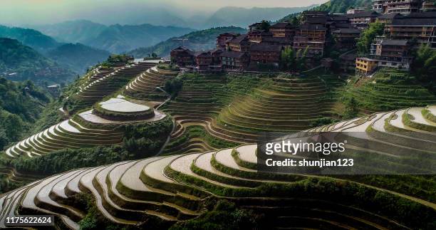 rice paddy in longsheng - longsheng stock pictures, royalty-free photos & images