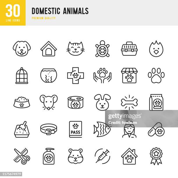 domestic animals - thin line vector icon set. pixel perfect. set contains such icons as pets, dog, cat, bird, fish, hamster, mouse, rabbit, pet food, grooming. - pets stock illustrations