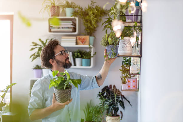 12 of the Best Home Decor Trends for 2025 You Need to See