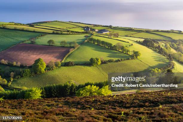 moor and farmland in spring, exmoor national park, devon, england, united kingdom, europe - exmoor national park stockfoto's en -beelden