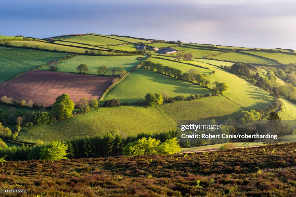 Moor and farmland in spring, Exmoor National Park, Devon, England, United Kingdom, Europe