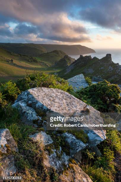 valley of the rocks in summer, exmoor, devon, england, united kingdom, europe - exmoor national park imagens e fotografias de stock